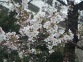DSCF5903.jpg