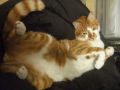 DSCF5859.jpg
