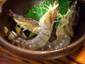 DSCF6203.jpg