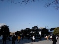 CA370008.JPG