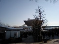 CA370009.JPG