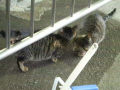 DSCF7015.jpg