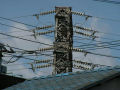 SANY0019.jpg