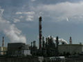 SANY0046.jpg