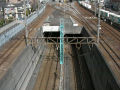 SANY0098.jpg