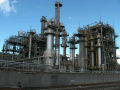SANY0126.jpg