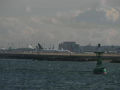 SANY0155.jpg