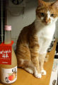 DSCF8767.jpg