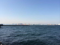 IMG_4328.jpg