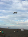 IMG_5233.jpg