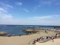 IMG_5897.jpg