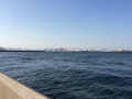 IMG_5961.jpg